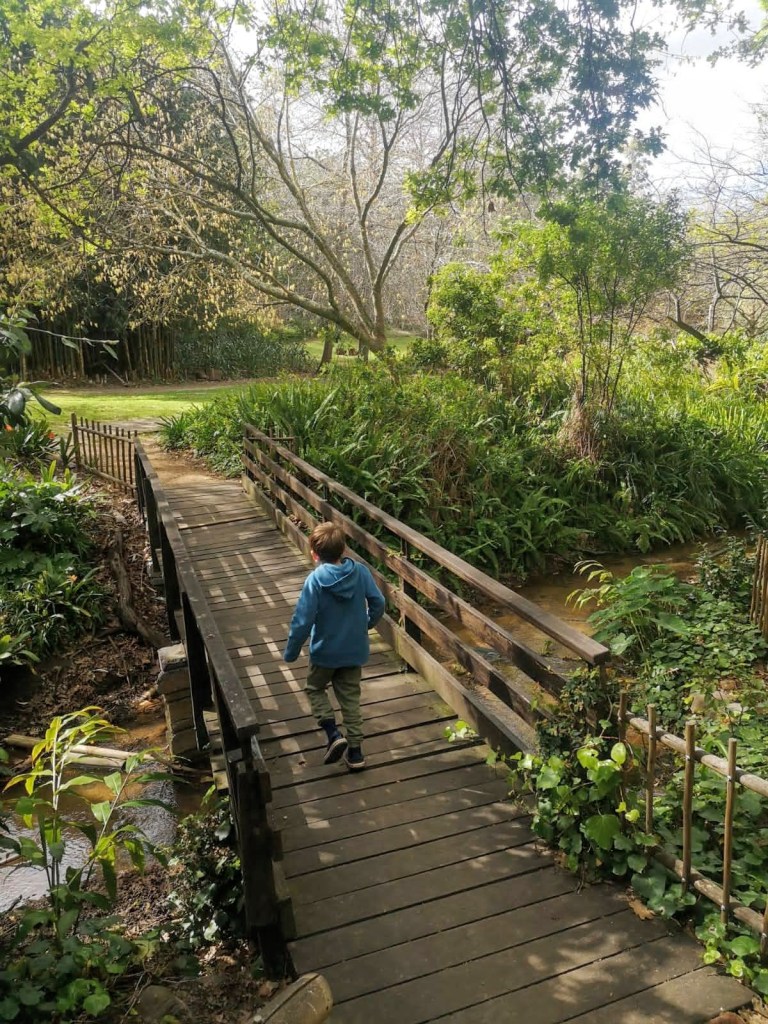 Little Streams Constantia